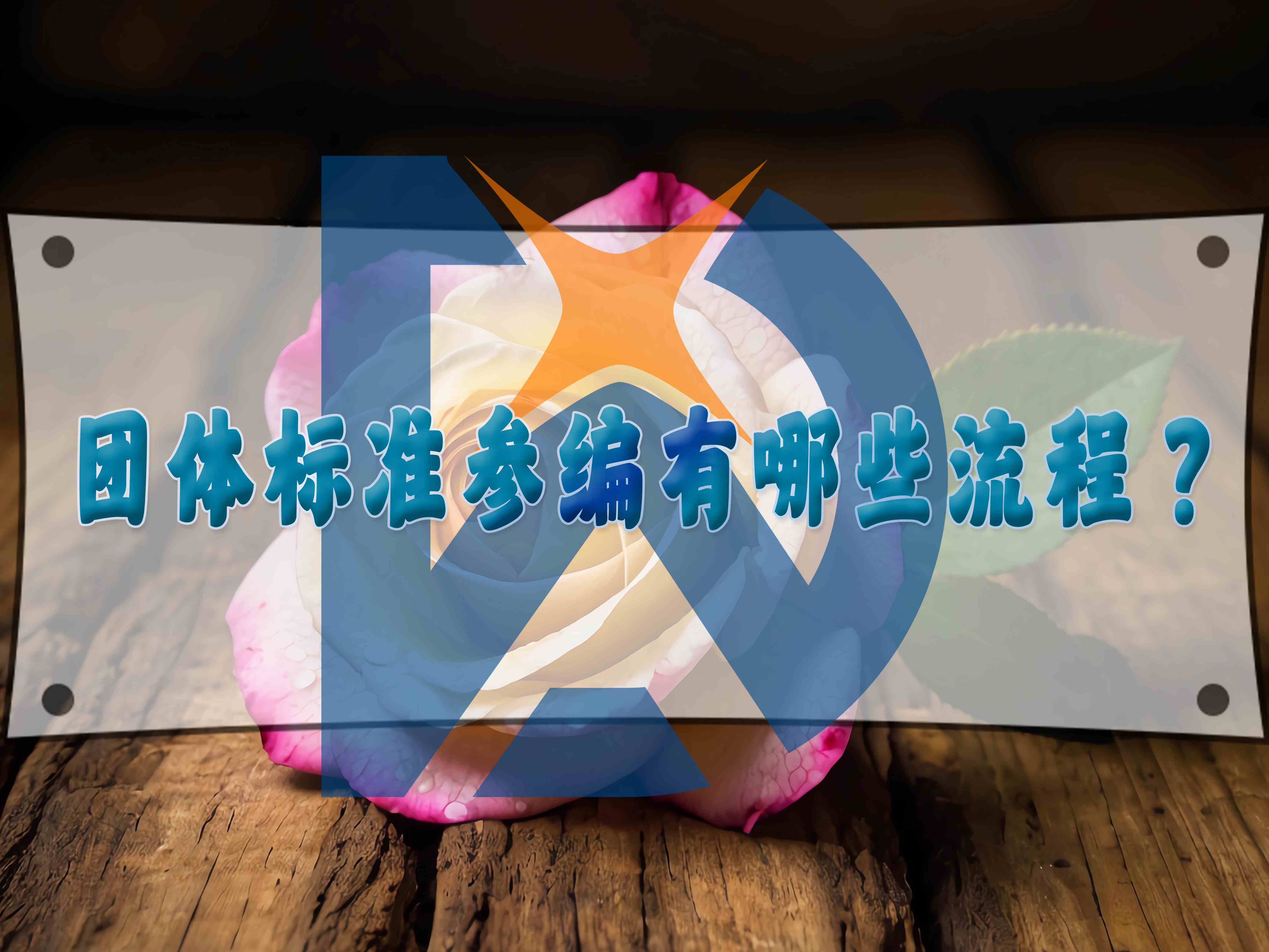 團體標準參編有哪些流程？