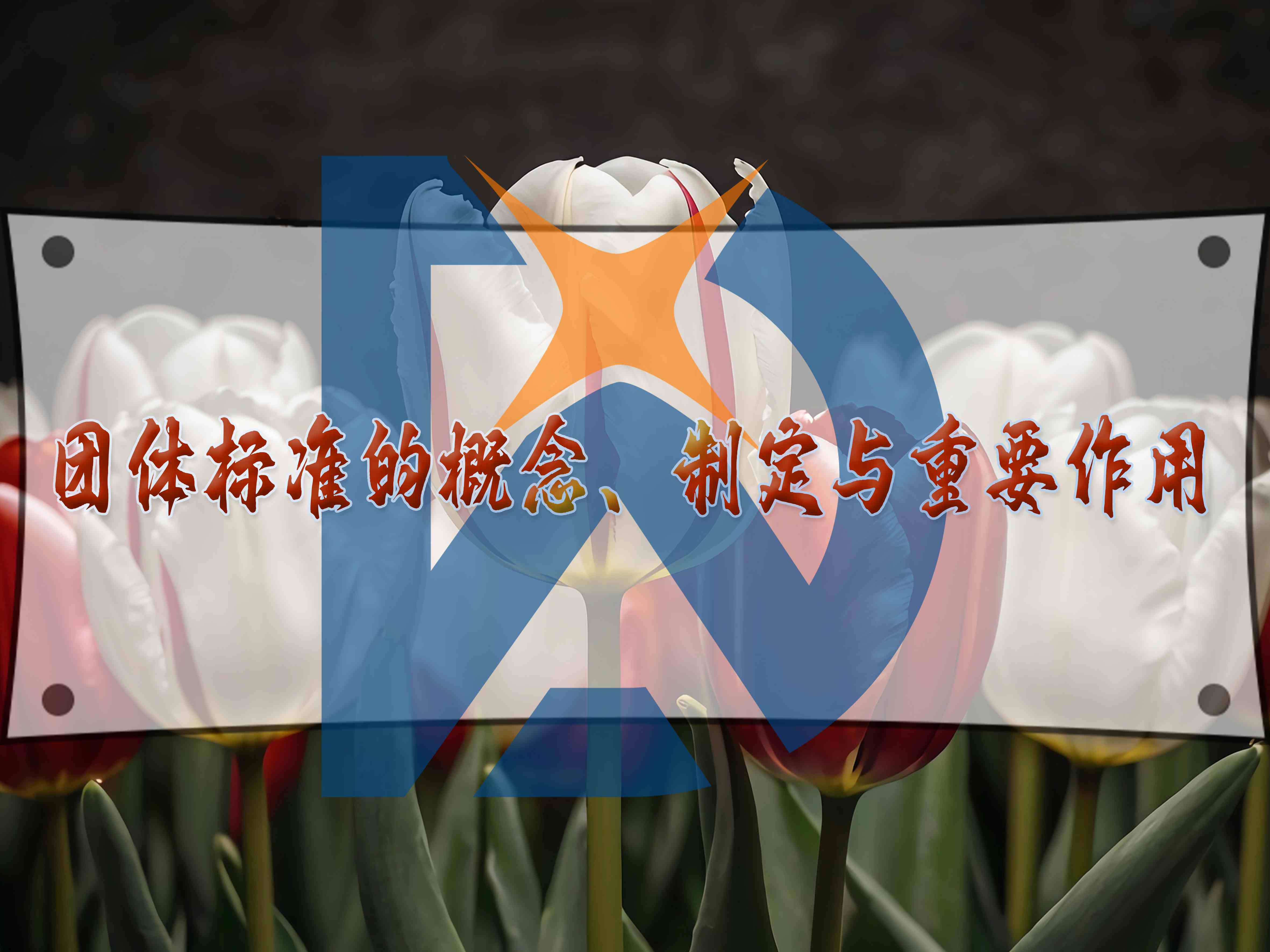 團體標準的概念、制定與重要作用