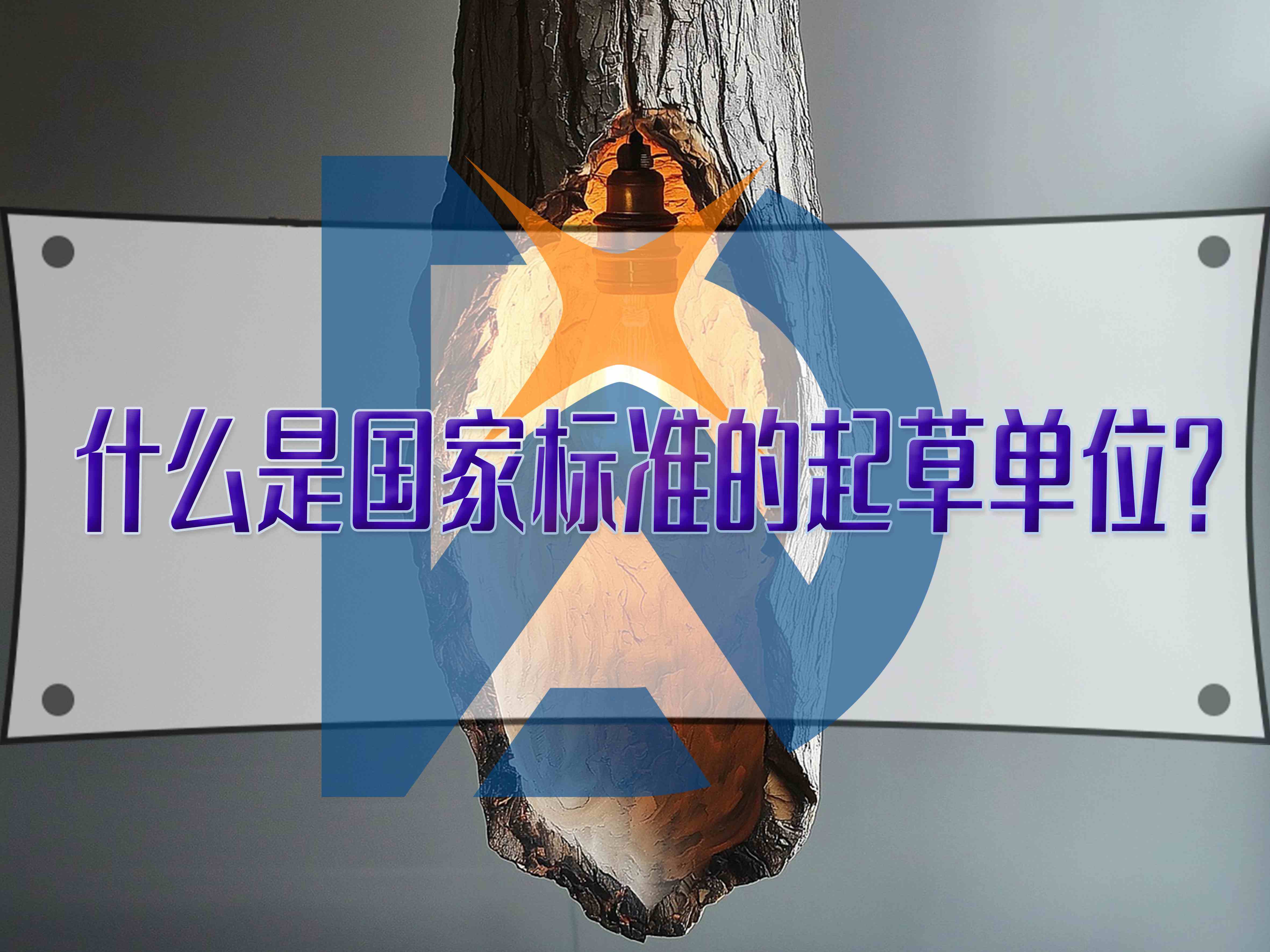 什么是國家標準的起草單位？