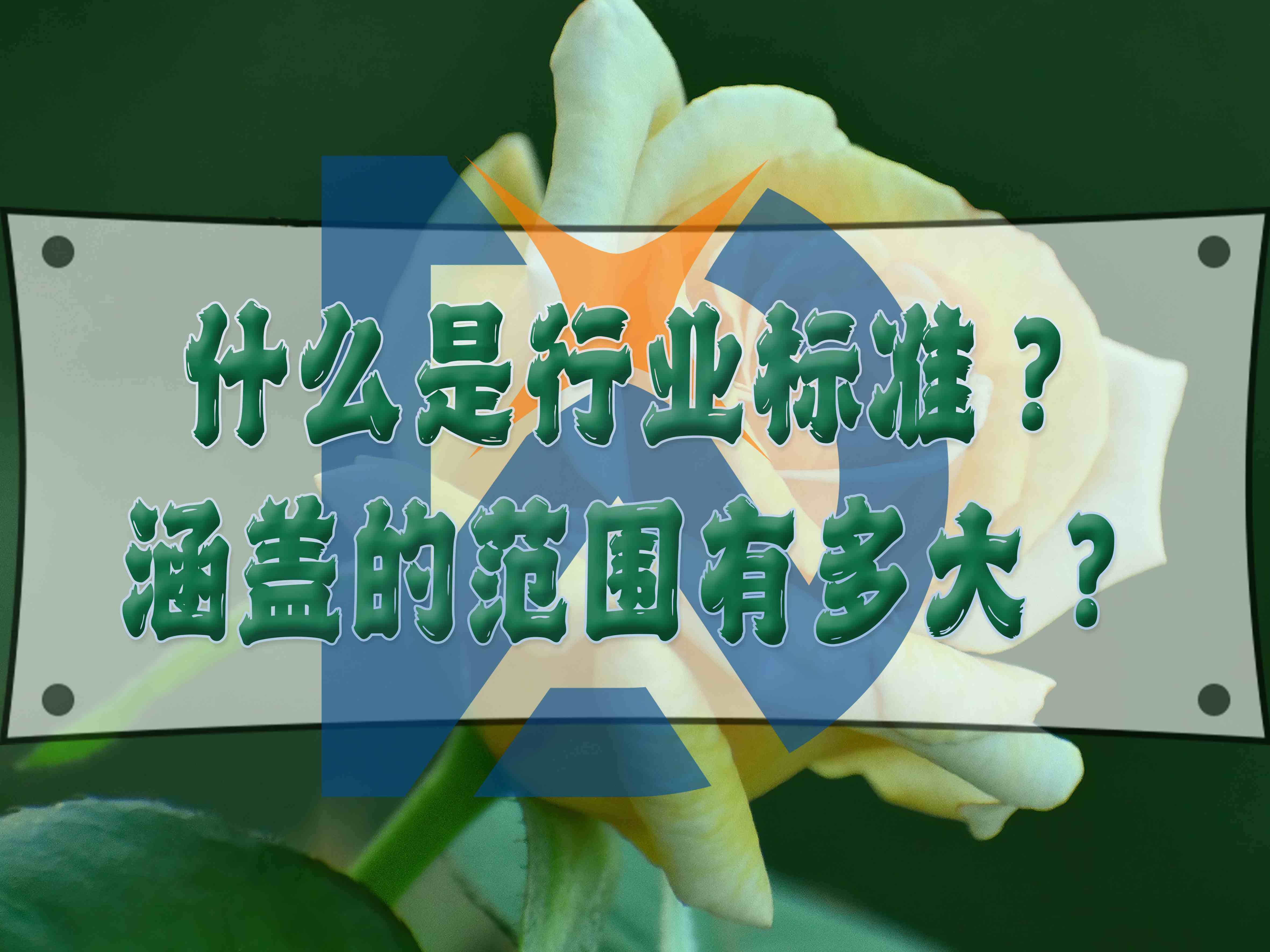什么是行業(yè)標(biāo)準(zhǔn)？涵蓋的范圍有多大？