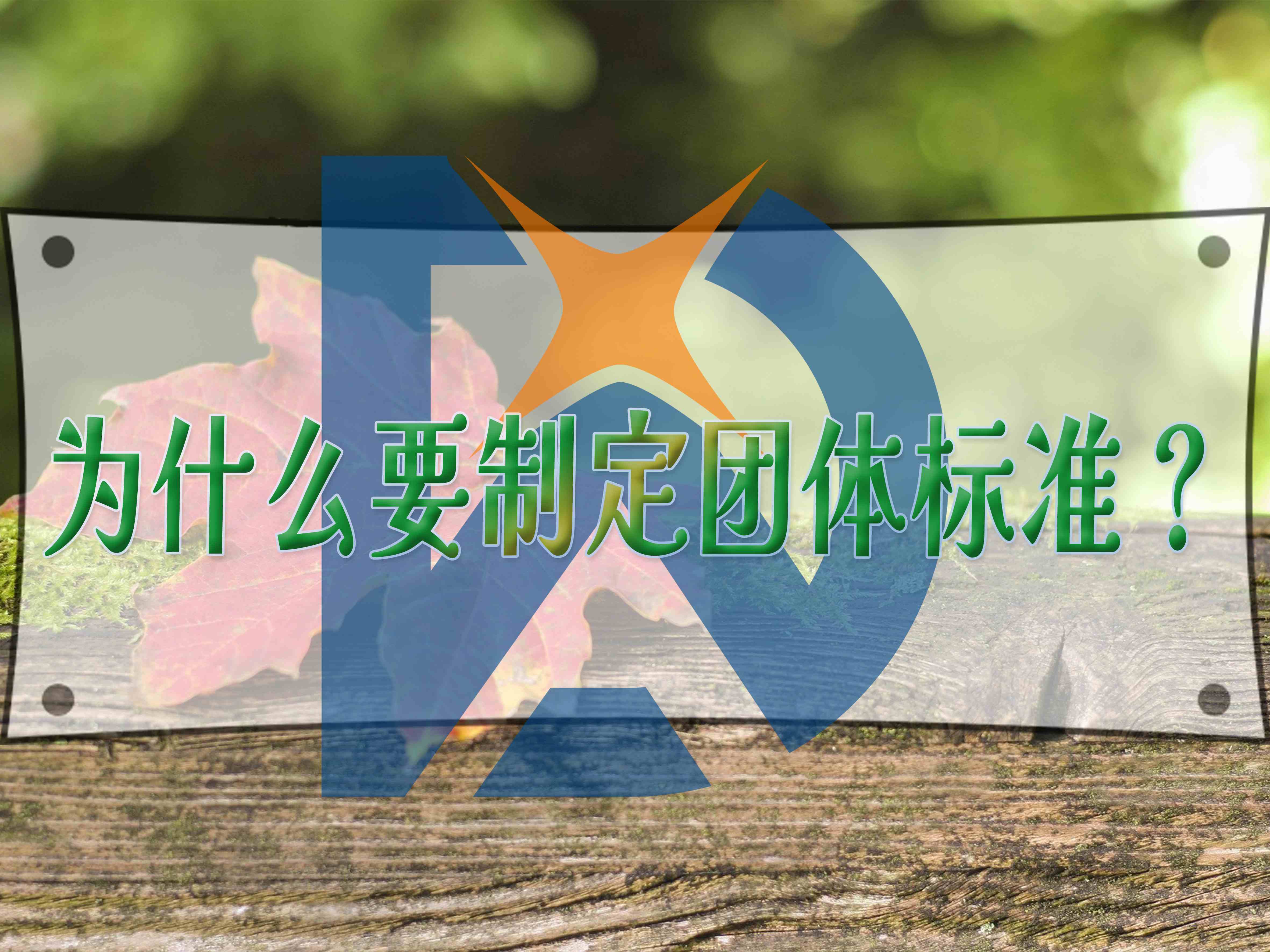 為什么要制定團(tuán)體標(biāo)準(zhǔn)？