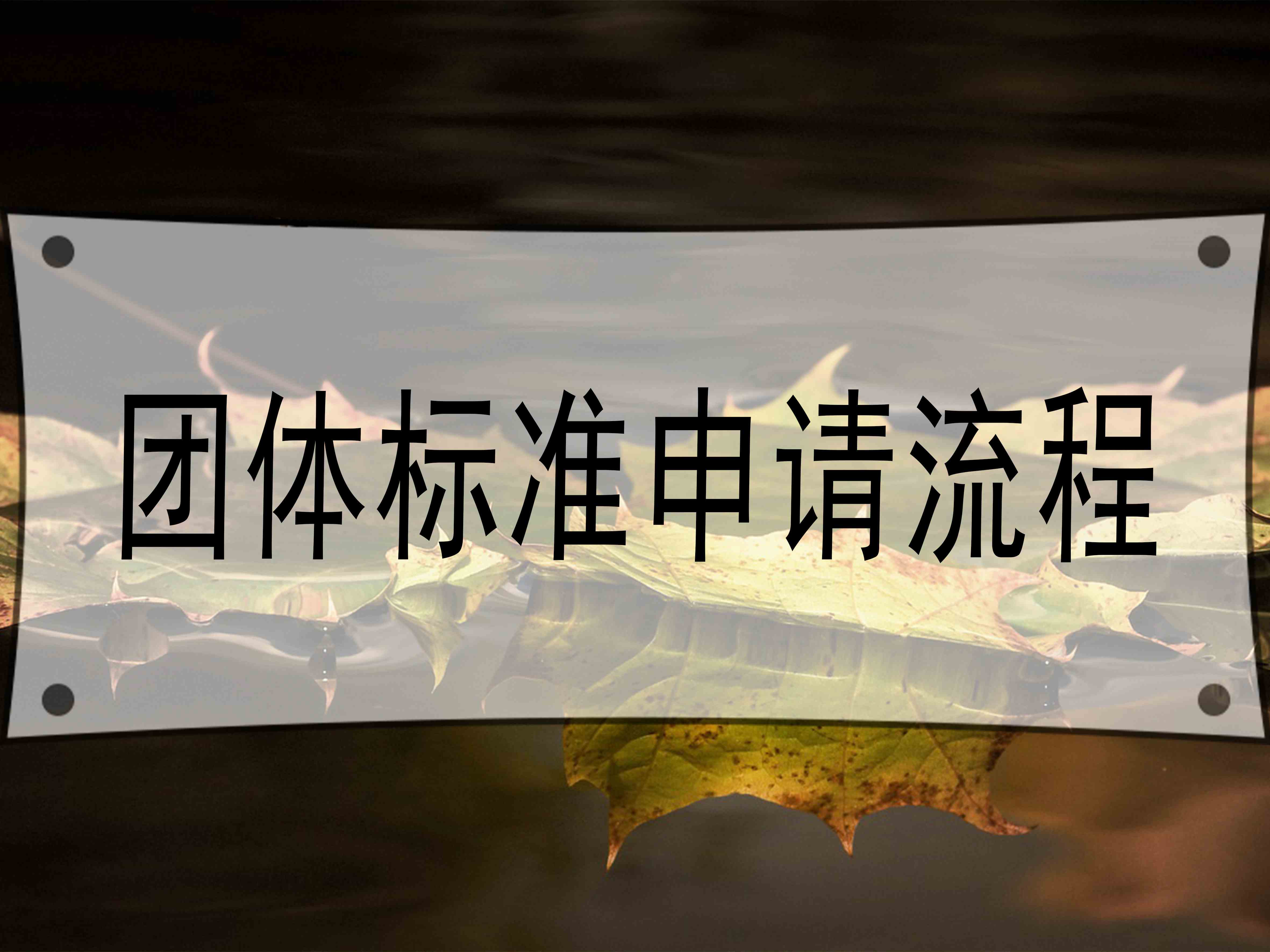 團(tuán)體標(biāo)準(zhǔn)申請流程