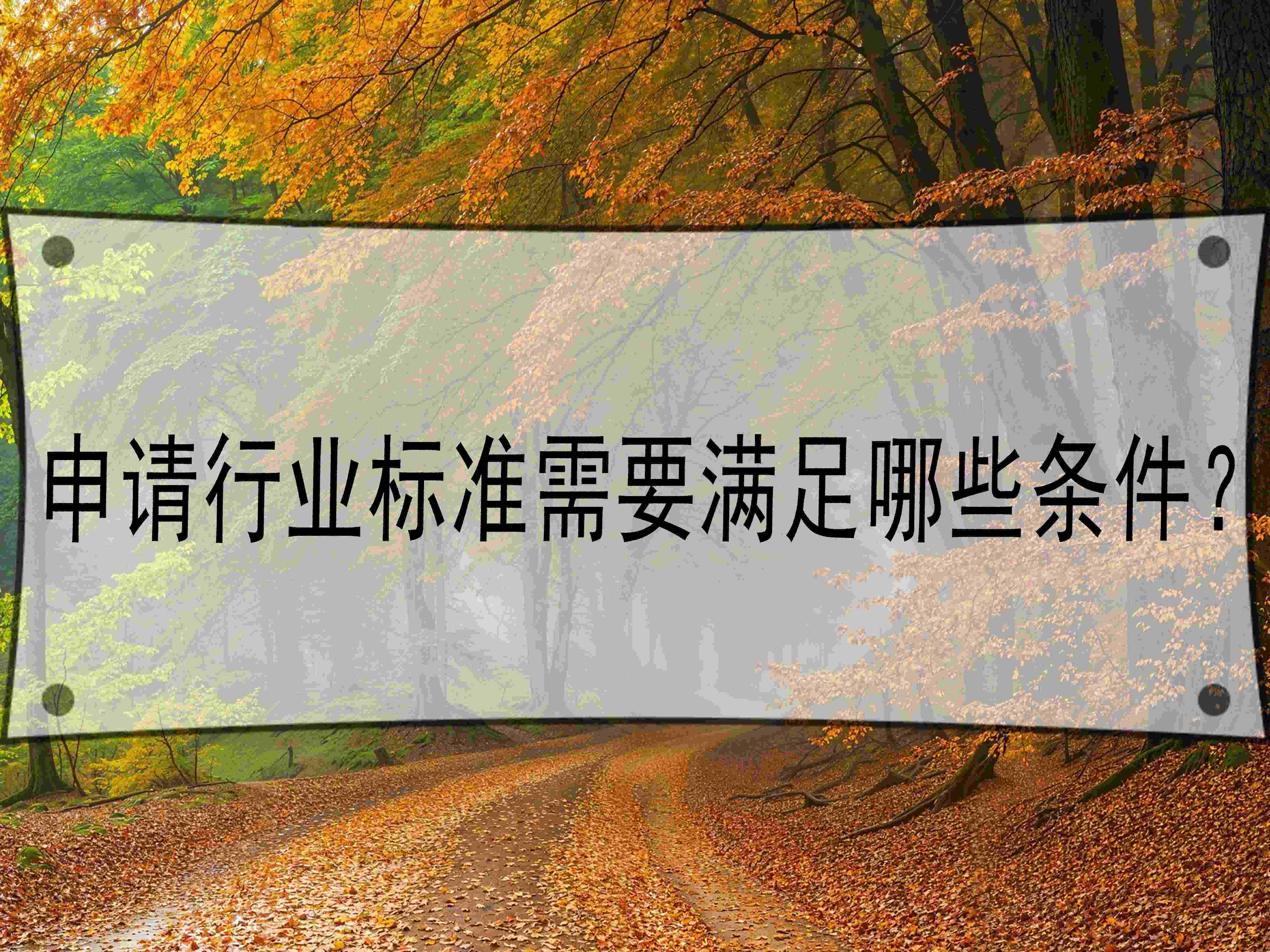 申請(qǐng)行業(yè)標(biāo)準(zhǔn)需要滿足哪些條件？