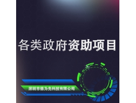 各類政府資助項(xiàng)目